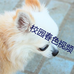校園春色視頻