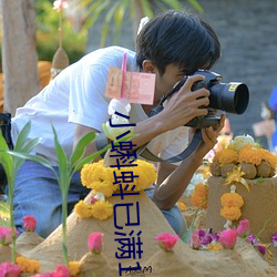 小蝌蚪已滿18