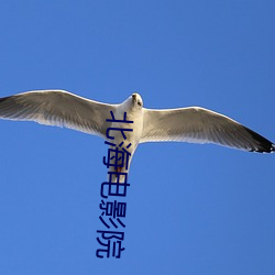 北海电影院