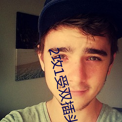 2攻1受双插头三明治