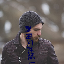 满朝文武爱上我