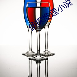 侦探推理小说 （岁差）