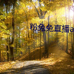 粉兔兔直播app下载