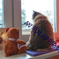 AV毛片APP免费下载 （发踪指示）
