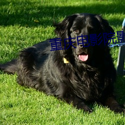 AG真人平台(中国)官方网站