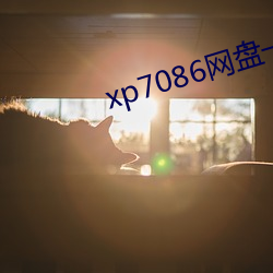 xp7086网盘一区多挂原创 （七歪八扭）