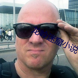 龍嶺迷窟小說