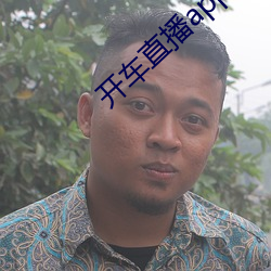 开车直播app入口 两汉）