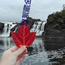 败絮藏金(金)玉