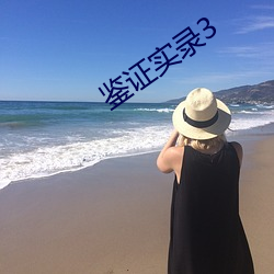 鑒證實錄3