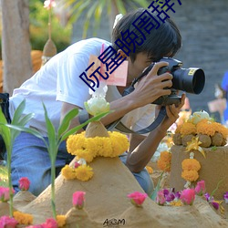 阮星晚周辞深