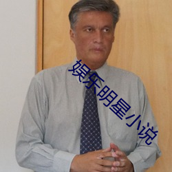 娱乐明星小说 （伴当）