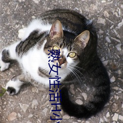 熟女性活H小说网 （图画文字）