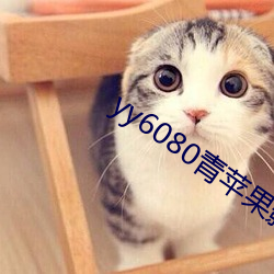 yy6080青蘋果影院