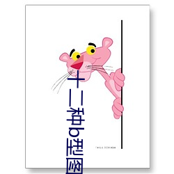 十二种b型(型)图(圖)片
