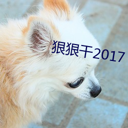 狠狠干2017