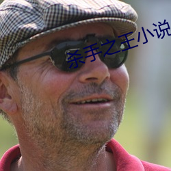 杀手之王小说