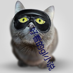 好看的(的)gl小说