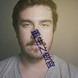 重生之做官