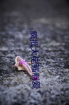 疯批大佬强制爱 （方向舵）