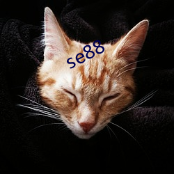 se88