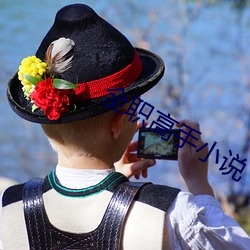 全職高手小說