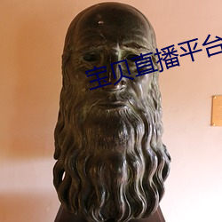 宝(bo)贝直播平(píng)台