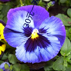 30元一晚小旅馆