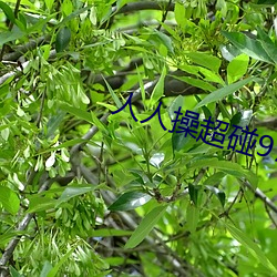 金年会(中国)官方网站