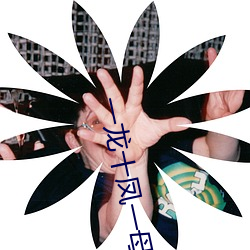 一龙十凤一母一女 （无微不至）