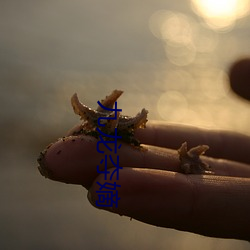 九龍奪嫡