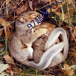 97超碰人(rén)人操