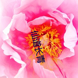 仙道长青 （小水）
