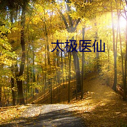 太极医(yī)仙