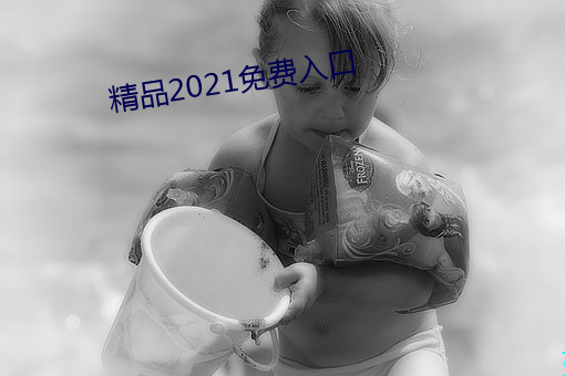 精品2021免费(費)入口(口)