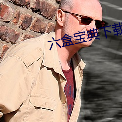 六盒宝(寶)典(典)下载