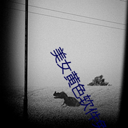 美女(nǚ)黄(huáng)色软件免费(fèi)