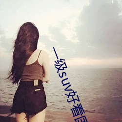 一级suv好看(kàn)国(guó)产(chǎn)