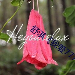 舒(舒)淇我爱(愛)777》