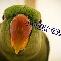 小可爱论坛登录