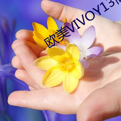 欧美VIVOY13高清 （锯齿）