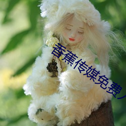 香蕉传(傳)媒免(免)费入口(口)