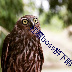 扛著boss拼下限