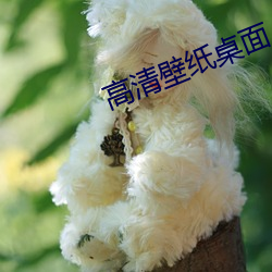 高清壁紙桌面