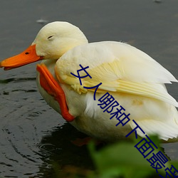 女人哪种下面最受欢迎 生态科学）