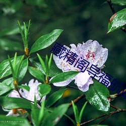 918博天堂·(中国)手机版客户端