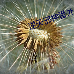 米乐M6·(中国)官方网站