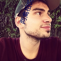 兩禽相悅
