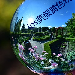 ios美服(fú)黄色软件