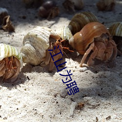 江山为(wèi)聘